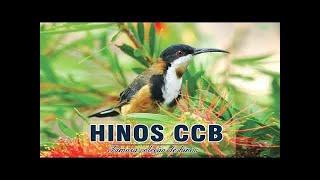 CCB Lindos Hinos 2019 - 2020-   Canções De Hino Bonitas Melodia Suave