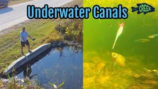 GoPro Underwater Florida Canals