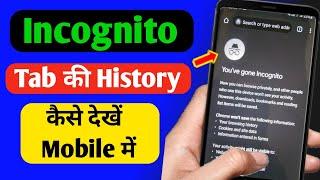 Incognito Tab ki history kaise dekhe | How to see incognito browsing history