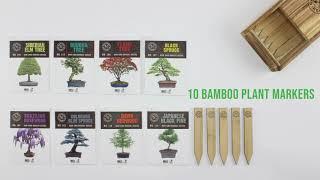 Unboxing The Garden Republic Bonsai Seed Set