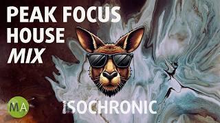 Peak Focus For Complex Tasks House Kangaroo Mix with Isochronic Tones