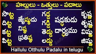 Ta Tta Da Dda Nna Vatthulu Padalu | ట ఠ డ ఢ ణ |Hallulu vathulu padalu ఒత్తులు పదాలు |Telugu padalu