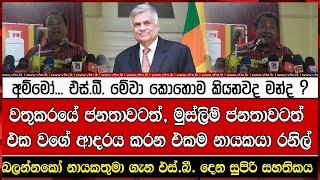 බලන්නකෝ නායකතුමා ගැන එස්.බී. දෙන සුපිරි සහතිකය