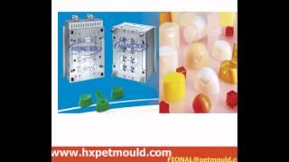 PET Preform Mould