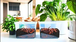 Worm Bin SECRETS That Apartment Dwellers NEED TO KNOW