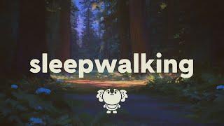 Zach Hood - Sleepwalking (ft. Sasha Alex Sloan) (lyrics)