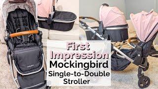 NESTING: MOCKINGBIRD SINGLE-TO-DOUBLE STROLLER | PREGNANCY 2020