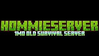 Minecraft Vanilla survival server