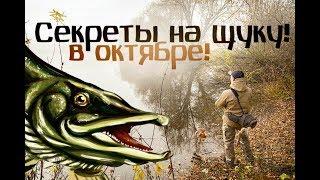 Щука в октябре. Советы.