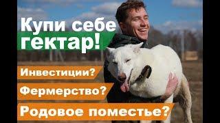 Купи себе гектар! Зачем нужны большие участки?