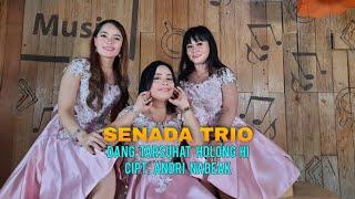 Senada Trio - Dang tarsuhat holong hi [OFFICIAL MUSIC VIDEO] Cipt. Andri Nadeak