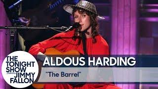 Aldous Harding: The Barrel