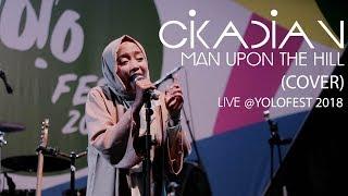 STARS AND RABBIT - MAN UPON THE HILL (Cikadian Cover) Live at #YoloFest2018