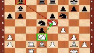 World Chess Championship 2010: Anand vs. Topalov - Game 2