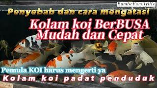 Penyebab dan cara mengatasi kolam koi berbusa mudah dan cepat