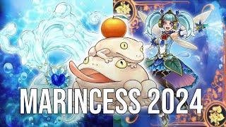 MARINCESS FT. TRICKSTAR AQUA ANGEL | POST DUELISTS OF BRILLIANCE | EDOPRO (Replays & Deck List)