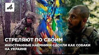 Стреляют по своим. Иностранные наёмники сдохли как собаки на Украине