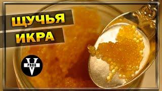 ЩУЧЬЯ ИКРА. Рецепт, польза и интересные факты об икре !