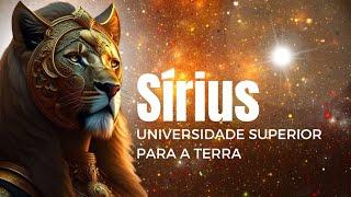 Sírius a universidade superior para a Terra