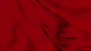 Red Flag wave animation seamless loop. 4K Resolution video