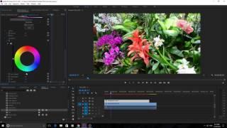 How to Use HSL Secondary Effect in Lumetri Premiere Pro CC (2017)