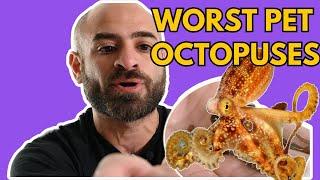 5 Worst Octopuses To Keep As Pets