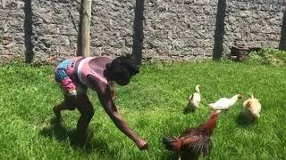 African village girl having a beautiful moment with 5 chickens