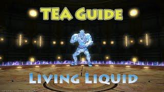 1. TEA Guide - Living Liquid (DPS PoV)