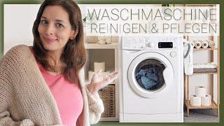 Clean and maintain the washing machine properly