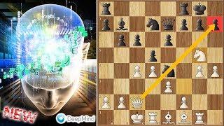 How is This Possible? | AlphaZero Shows Us the Way