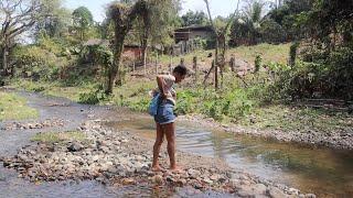 Exploring a Rural Thai Village - Chiang Dao