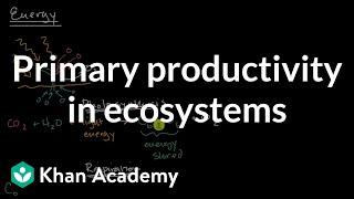 Primary productivity in ecosystems| Matter and Energy Flow| AP Environmental Science| Khan Academy