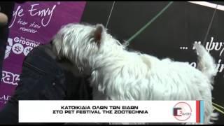 Διεθνείς διαγωνισμοί σκύλων και εκθέσεις μορφολογίας στη ΔΕΘ - Το ATLAS TV στη 10η Zootechnia