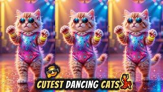 Cute Cat videos funny dance  Videos for cats | बिल्ली डांस | Cat Videos | #funny #dancingcat #cat