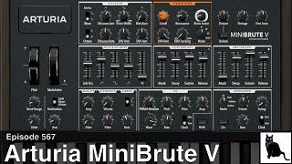 Arturia MiniBrute V: A detailed demo & tutorial + hardware comparison