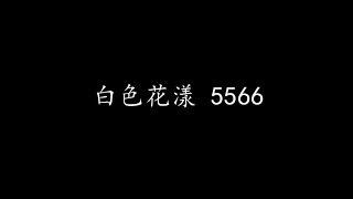 白色花漾 5566 (歌词版)