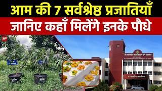 आम  की 7 शानदार किस्में, यहाँ से ले सकते हैं पौधे  [ Discover Top 7 best Mango varities ]