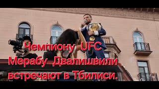 Победителю  UFC  Мерабу Двалишвили  встречают в Грузии.