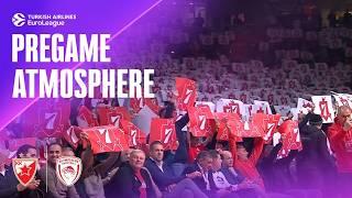 RESPECT in Red | Crvena Zvezda - Olympiacos | PREGAME ATMOSPHERE