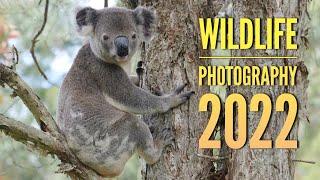 Wildlife Photography 2022. Australian Wildlife.