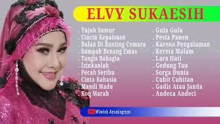 Elvy Sukaesih full album || Koleksi Lagu Populer