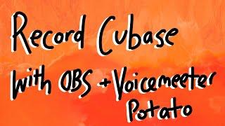 OBS Cubase 11 Recording / Record Daw Audio OBS / Record Daw in OBS / Record Cubase with OBS