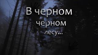 Страшные истории - В ЧЕРНОМ, ЧЕРНОМ ЛЕСУ... Страшилки. Страшные рассказы.  Жуткие истории.