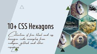 10+ CSS Hexagons