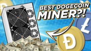 Best Dogecoin Miner for 2024?! DG 1