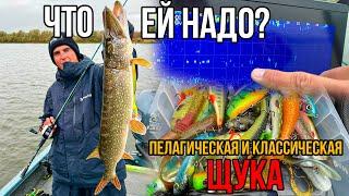 Как понять осеннюю щуку? Пелагическая ловля и не только | Рыбалка на реке