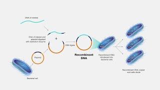 DNA Recombinant Technology - DNA மறுசேர்க்கை தொழில்நுட்பம்