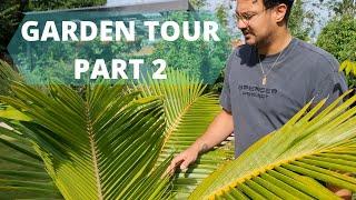 Backyard Garden Tour // Food Forest Part 2