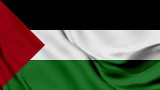 Palestine Flag Waving Background | HD | ROYALTY FREE