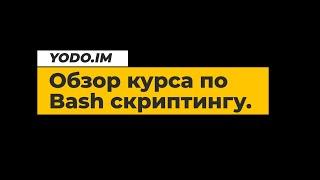 Обзор курса по Bash программированию | Bash scripts